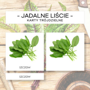Jadalne liście roślin - karty trójdzielne 15 szt.