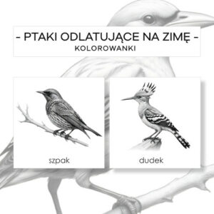Ptaki odlatujące na zimę i przylatujące na wiosnę - kolorowanki