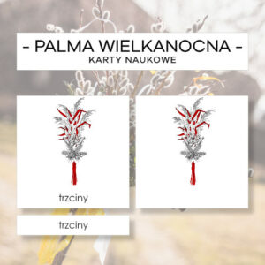 Budowa palmy wielkanocnej - karty naukowe 8 szt.