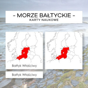 Morze Bałtyckie - karty naukowe 17 szt.