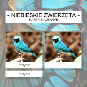 Niebieskie zwierzęta - karty trójdzielne 24 szt.