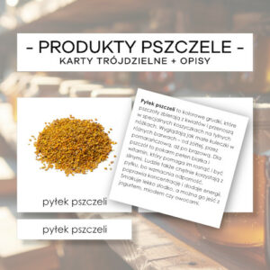 Produkty pszczele - karty trójdzielne 7 szt. + opisy