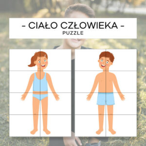 Ciało człowieka - układanka
