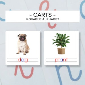 Movable alphabet cards - 1