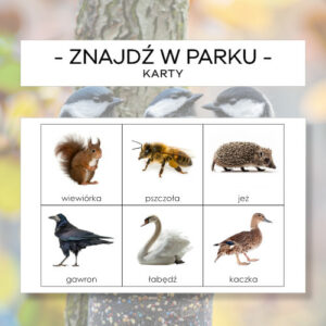 Znajdź w parku - karty pracy