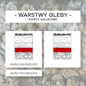 Warstwy gleby - karty naukowe 6 szt.