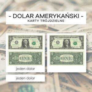 Dolar amerykański - karty trójdzielne 13 szt.