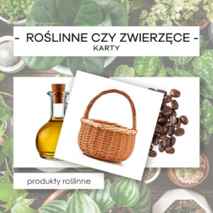 Produkty roślinne czy zwierzęce - karty 32 szt.