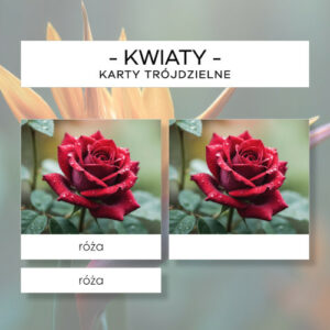 Kwiaty - karty trójdzielne 8 szt.