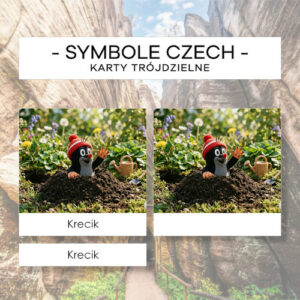 Czechy - symbole - karty trójdzielne 20 szt.