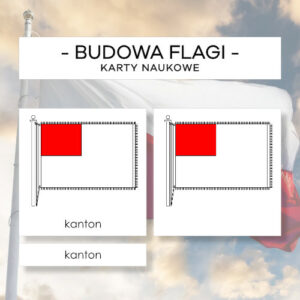 Budowa flagi - karty naukowe 11 szt.
