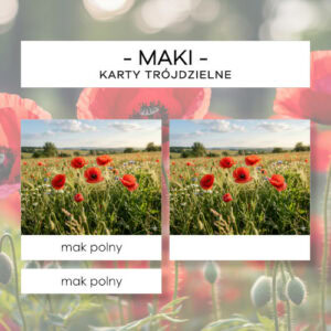 Maki - karty trójdzielne 8 szt.