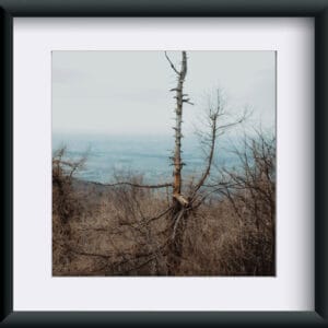 Fotografia "Strumień Myśli"