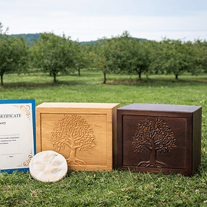 Private pet cremation image showing memorial urns, paw prints, and cremation certificate arranged on a family farm, representing individual care with ashes returned.