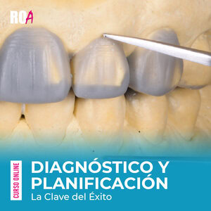 Diagnóstico y Planificación La Clave del Éxito.