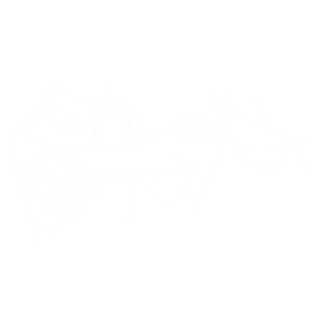 Kinesitherapie bij ProAktiv. – behandeling van spier- en gewrichtsklachten