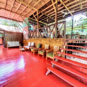 Secrets Peruvian Amazon trips: Macaw clay - Sandoval - Canopy 4D 21 Amazon Lodge Tambopata puerto maldonado tours