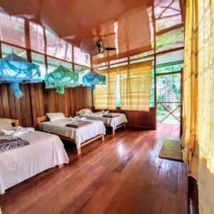 Amazon Lodge Tambopata  puerto maldonado amazon tour