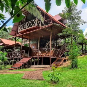 Secrets Peruvian Amazon trips: Macaw clay - Sandoval - Canopy 4D 24 Amazon Lodge Tambopata puerto maldonado