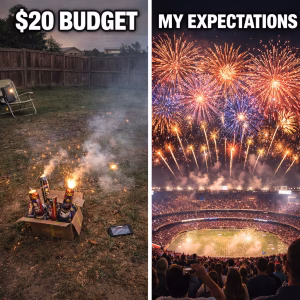 fireworks meme