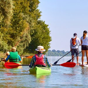 Paddle kayak Ngaparou