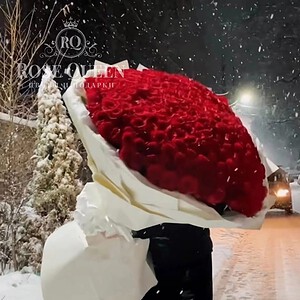 Розы на снегу