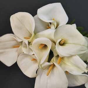 Калла Белая крупная