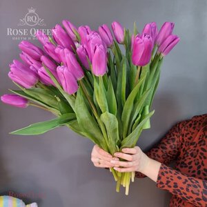 Тюльпан сиреневый агрос