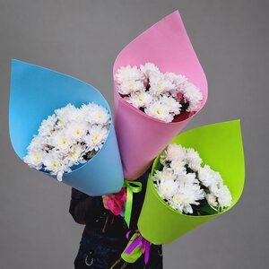 Акция 5 хризантем в упаковке