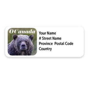 Canadian Wildlife Mailing Labels – Canadian Grizzly Bear