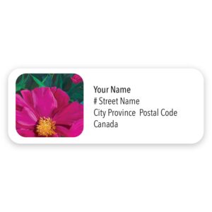 Personalized Spring Peony Mailing Labels