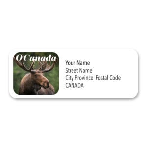 Canadian Wildlife Mailing Label – Moose