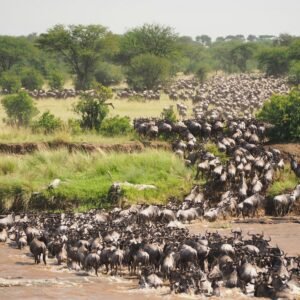 Serengeti National Park Serengeti National Park