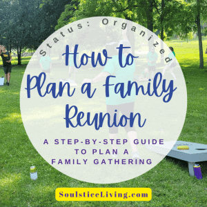 Family reunion planning, outdoor family gathering, team-building games in park, family sports day, organized family event, fun outdoor activities, Soulstice Living guides, family bond activities, summer family reunion, group activities in nature.