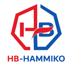 HB Hammiko logo secondary 3 version