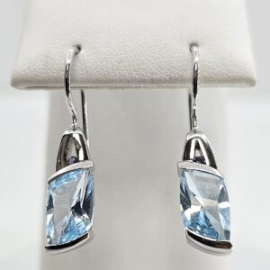 Sterling Silver 4.82ctw Blue Topaz Earrings