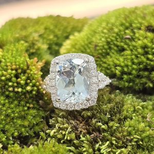 Aqua Springs Collection