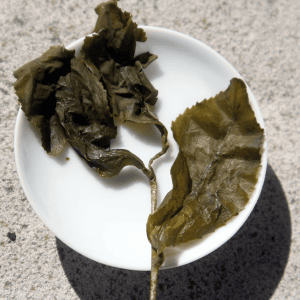 Alishan Jin Xuan (Milky) High Mountain Oolong