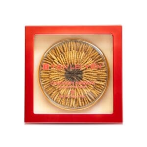 Ten Lei Yen Cultivated Cordyceps Extra Large 100 Grams