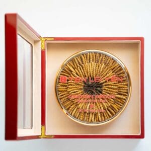 Ten Lei Yen Cultivated Cordyceps Extra Large 100 Grams Open Box