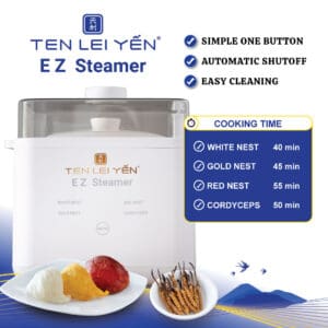 Ten Lei Yen EZ Steamer