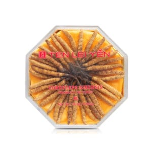 Ten Lei Yen - Cultivated Cordyceps 18.9 Gram Extra Large