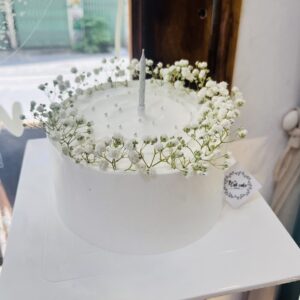 Bánh Sinh Nhật Và Hoa Đẹp the cati cake hà nội
