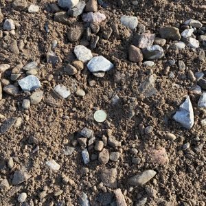 Granular B