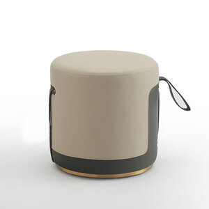 Elegant Cushioned Stool