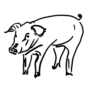 Carne de cerdo fresca y tierna, ideal para cocina casera
