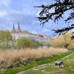 travelinstyle autoreise blog burgos
