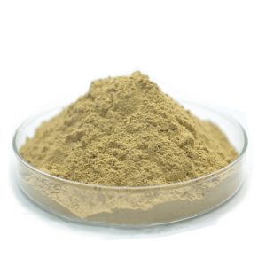 Bentonite API 13A Ấn Độ