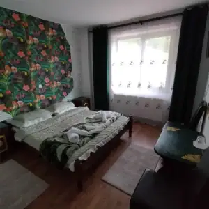 camera 2