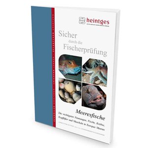 Heintges - Meeresfische